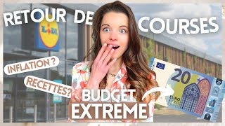 Retour de courses LIDL  Budget EXTREME  20€ pour 1 semaine de repas petit budget [upl. by Nolra717]