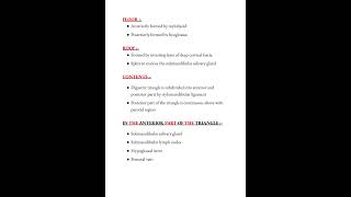 Digastric triangle notes 🗒️ANATOMY medicalconcepts28 [upl. by Aicenav789]