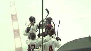 Newburyport Hockey vs Lynnfield 2016 [upl. by Annodam802]