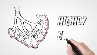 Know your Cough with Prospan Part 1 [upl. by Eednak]