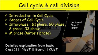 Cell Cycle amp Cell Division ✅ Introduction and stages of cell cycle  class11biology neet A005 [upl. by Girhiny]