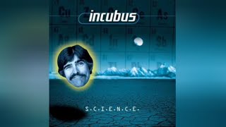 Incubus  New Skin  Backing Track [upl. by Melia95]