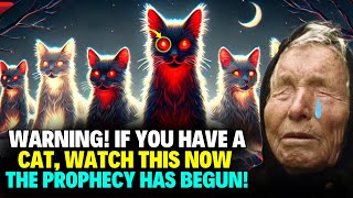 Baba Vanga WARNING IF YOU HAVE A CAT YOU MUST SEE THIS NOW – THE PROPHECY HAS BEGUN [upl. by Narf]