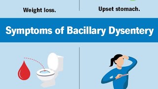 Dysentery Understanding Prevention and Treatment [upl. by Gallager194]