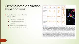 11 Radiation Biology I [upl. by Hazen]