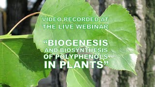 Webinars in Polyphenols Research quotBiogenesis and biosynthesis of polyphenols in plantsquot [upl. by Anaul369]