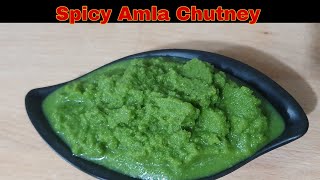 Spicy Amla Chutney  Amla chutney recipe  Amla recipe  Winter Special [upl. by Anelyak291]