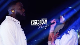 Vegedream feat nej  Pansement live acoustique [upl. by Alyhs]