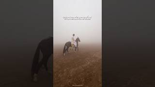 Have you ever ridden someones horse in the cold and fog [upl. by Merow]