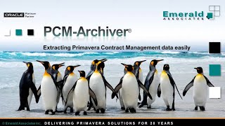 Extract Data From Primavera Contract Management With The PCM Archiver [upl. by Nemrac233]