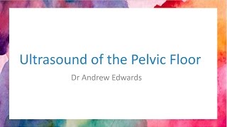 Pelvic Floor Assessment by Ultrasound [upl. by Liba]