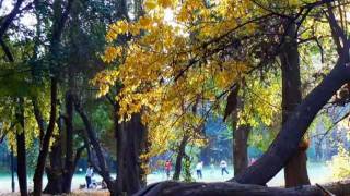 TONADA DE OTOÑO Mercedes Sosa Pocho Sosa Oscar Puebla guitarrawmv [upl. by Nomzzaj]