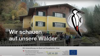 Waldbilder der Zukunft  Waldspaziergang in Breitenau am Hochlantsch Steiermark [upl. by Lud]