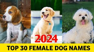 Top 30 Female Dog Names 2024  Female dog mame  new dog Names [upl. by Eltsirk]