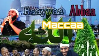 New Raayyaa Abbaa maccaa 31 ffaa [upl. by Nerehs372]