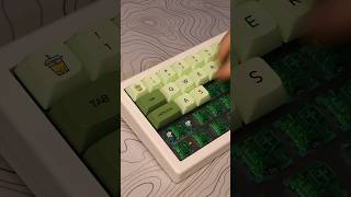 Akko Matcha Green Pro switches wsound test 🍵🟢 [upl. by Hoye]