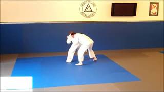 Free Fight Simulation Gracie Combatives Test Gracie University [upl. by Mosora809]