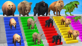 5 Giant Duck CartoonCowElephantLionTRex Paint Wild Animals Crossing Fountain Funny Cage Game [upl. by Ninnetta122]