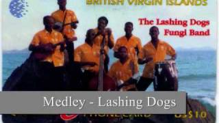 Medley  Lashing Dogs [upl. by Nahsor]