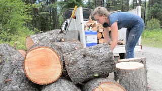 How to Cut Firewood in the Forest [upl. by Jakob]