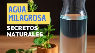 Las propiedades curativas del agua y la medicina natural [upl. by Gaw]