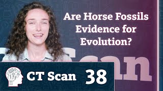 Are Horse Fossils Evidence for Evolution Episode 38 [upl. by Kiernan]