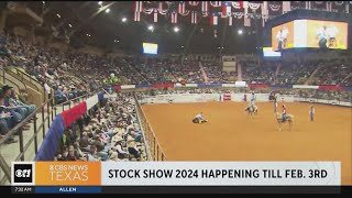 Fort Worth Stock Show and Rodeo continues until February 3 [upl. by Euqinobe380]