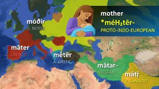 IndoEuropean Languages  Word Comparisons [upl. by Lil736]