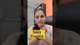 Salix Fragilis Homeopathic medicine Salix Fragilis Q  Mother Tincture  homoeohealthdrjyoti [upl. by Imaj]