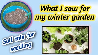 🔴Soil mix for seedling Kitchen gardeningWhat I sow for my winter garden [upl. by Bicknell]