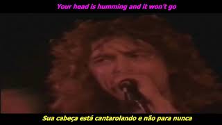 Led Zeppelin  Stairway To Heaven legendado  lyrics [upl. by Greenberg686]