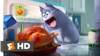 The Secret Life of Pets  The Owners Leave Scene 110  Movieclips [upl. by Ailec]