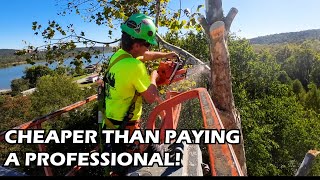 DIY Tree Removal  Is The Risk Worth the Reward [upl. by Nylahsoj766]