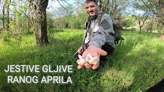 JESTIVE GLJIVE RANOG APRILA [upl. by Hagai48]