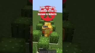 leather vs gold vs netherite vs diamond vs chainmail minecraft meme memes [upl. by Iv873]