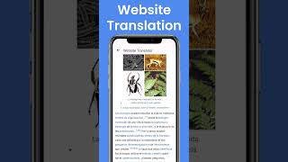 Website Translator [upl. by Enilrahc]