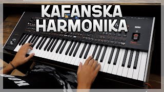 Kafanska Harmonika  MARKO MX  Begin I Merak  KORG Pa4x [upl. by Aihtekal]