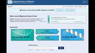 BLAST on NCBI HW1 [upl. by Ettegirb]