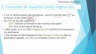 S5 Croissance et développement des plantes  Roles des hormones II 34 [upl. by Aikyt]