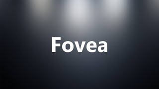 Fovea  Medical Definition and Pronunciation [upl. by Marva949]