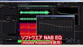 ソフトウエアEQでNABIEC2カーブを再現してみた [upl. by Codi]