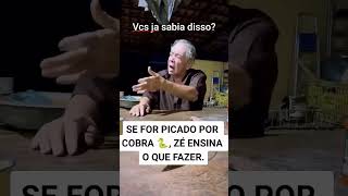 pra picada de cobra😱QUEM AI SABIA DISSO [upl. by Siraf371]