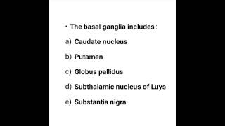 PARTS OF BASAL GANGLIA [upl. by Halyahs]