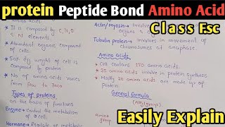 Proteins  Amino Acid Formula  Peptide Bond  Class 11 Biology UrduHindi [upl. by Mathilde243]