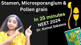 Stamen microsporangium and pollen grains class 12th by Dr Komal Saksena in hindi [upl. by Domenech]