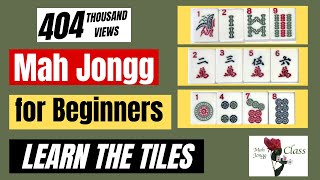 MAH JONGG for Beginners 11  American  Learning the Tiles NMJL Lessons How to Play Mahj [upl. by Annayr]