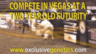 Exclusive Genetics  Million Dollar Bucking Bull Futurity [upl. by Ariaek]