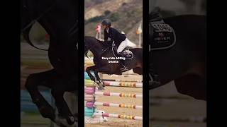 Equestrians are the Best💗💗💗shortsviral equestrian horseriding [upl. by Raseda]