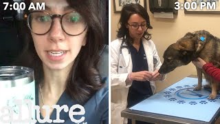 A Veterinarians Entire Routine from Waking Up to Treating Pets  Allure [upl. by Ajet]