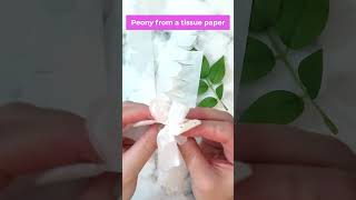 White Peony from Tissue Paper [upl. by Nnawtna412]